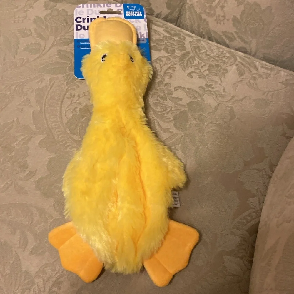 Yellow crinkle duck dog toy FREE with any purchase in closet